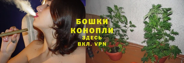 винт Белокуриха