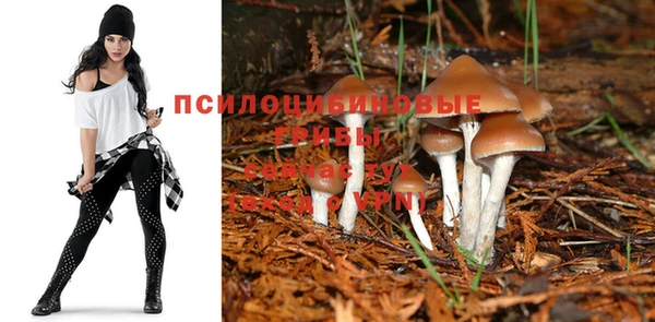 круглые Беломорск