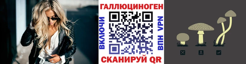 Псилоцибиновые грибы Cubensis  Буинск 